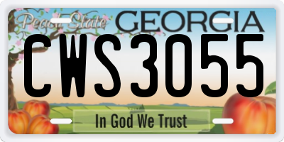 GA license plate CWS3055