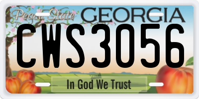 GA license plate CWS3056