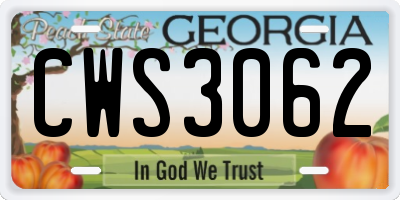 GA license plate CWS3062