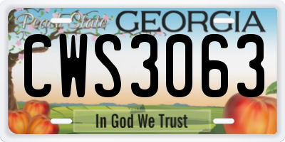 GA license plate CWS3063