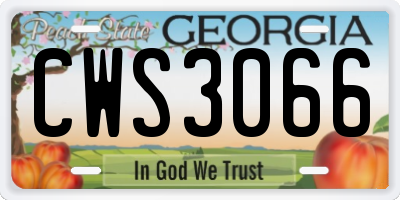 GA license plate CWS3066