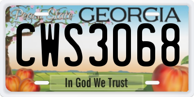 GA license plate CWS3068