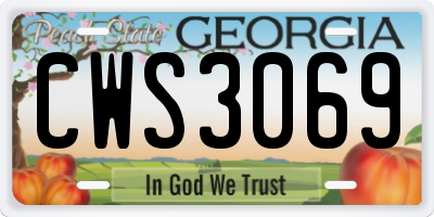GA license plate CWS3069