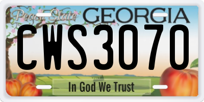 GA license plate CWS3070
