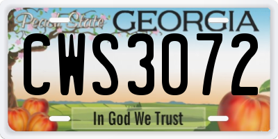 GA license plate CWS3072