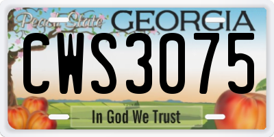 GA license plate CWS3075
