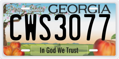 GA license plate CWS3077