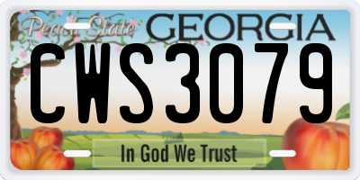GA license plate CWS3079