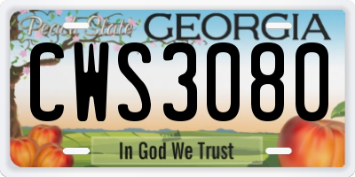GA license plate CWS3080