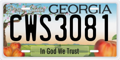 GA license plate CWS3081