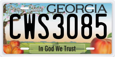 GA license plate CWS3085