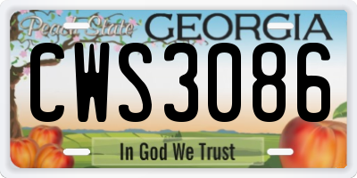 GA license plate CWS3086