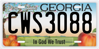 GA license plate CWS3088