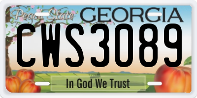 GA license plate CWS3089
