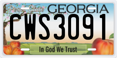 GA license plate CWS3091