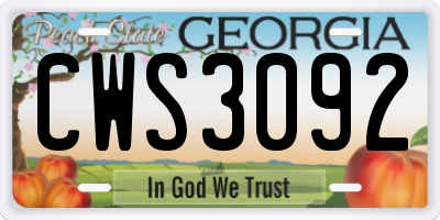 GA license plate CWS3092