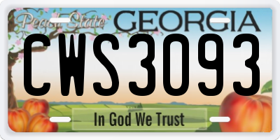 GA license plate CWS3093
