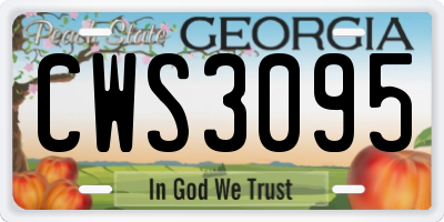 GA license plate CWS3095