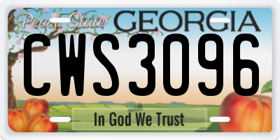 GA license plate CWS3096