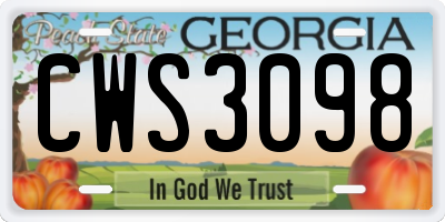 GA license plate CWS3098