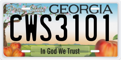 GA license plate CWS3101