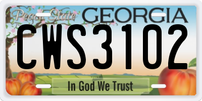 GA license plate CWS3102
