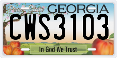 GA license plate CWS3103