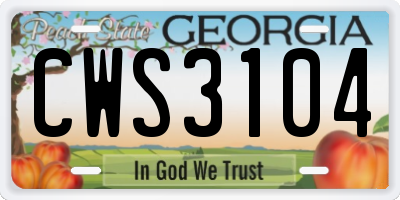 GA license plate CWS3104
