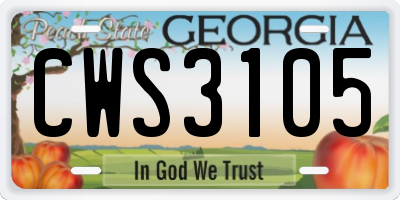 GA license plate CWS3105