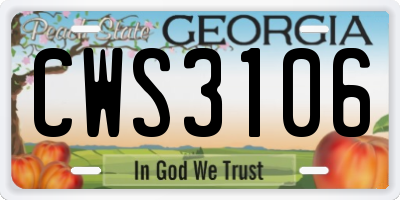 GA license plate CWS3106