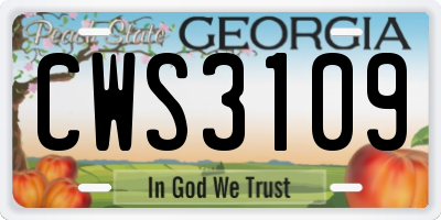 GA license plate CWS3109