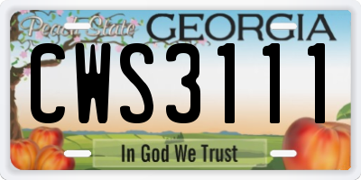 GA license plate CWS3111