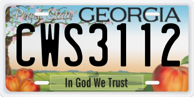 GA license plate CWS3112