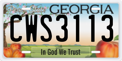 GA license plate CWS3113