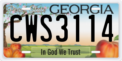 GA license plate CWS3114