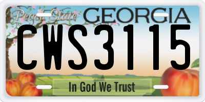 GA license plate CWS3115