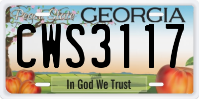 GA license plate CWS3117