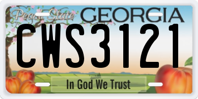 GA license plate CWS3121