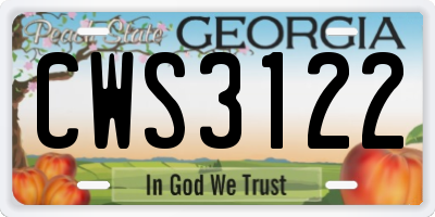 GA license plate CWS3122