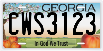 GA license plate CWS3123