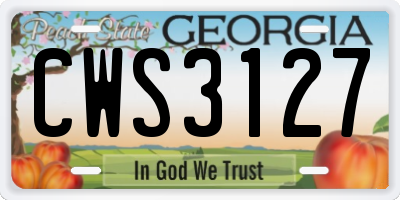 GA license plate CWS3127