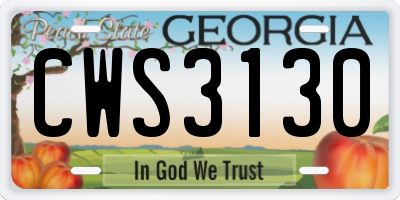 GA license plate CWS3130