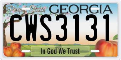 GA license plate CWS3131