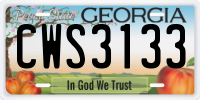 GA license plate CWS3133