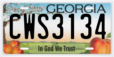 GA license plate CWS3134