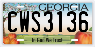 GA license plate CWS3136