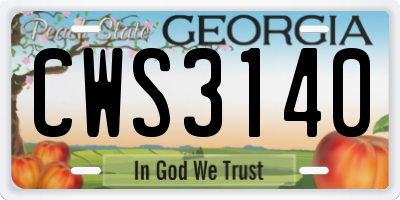 GA license plate CWS3140