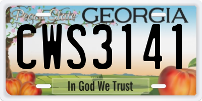 GA license plate CWS3141