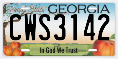 GA license plate CWS3142
