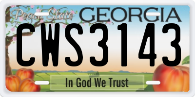 GA license plate CWS3143